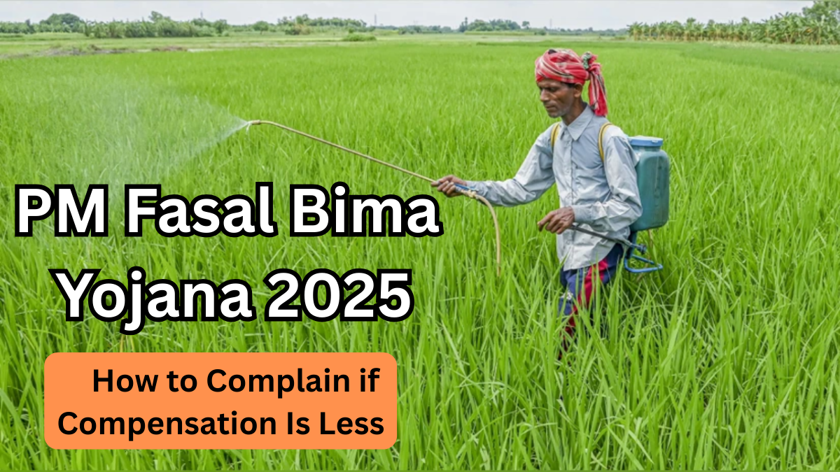 PM Fasal Bima Yojana 2025 – How to Complain if Compensation Is Less