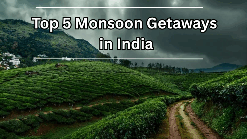 Top 5 Monsoon Getaways in India for a Refreshing 2025 Escape