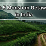Top 5 Monsoon Getaways in India for a Refreshing 2025 Escape