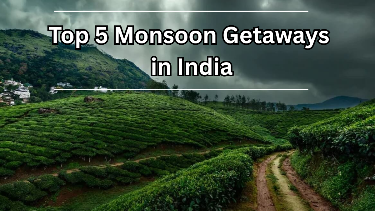 Top 5 Monsoon Getaways in India for a Refreshing 2025 Escape