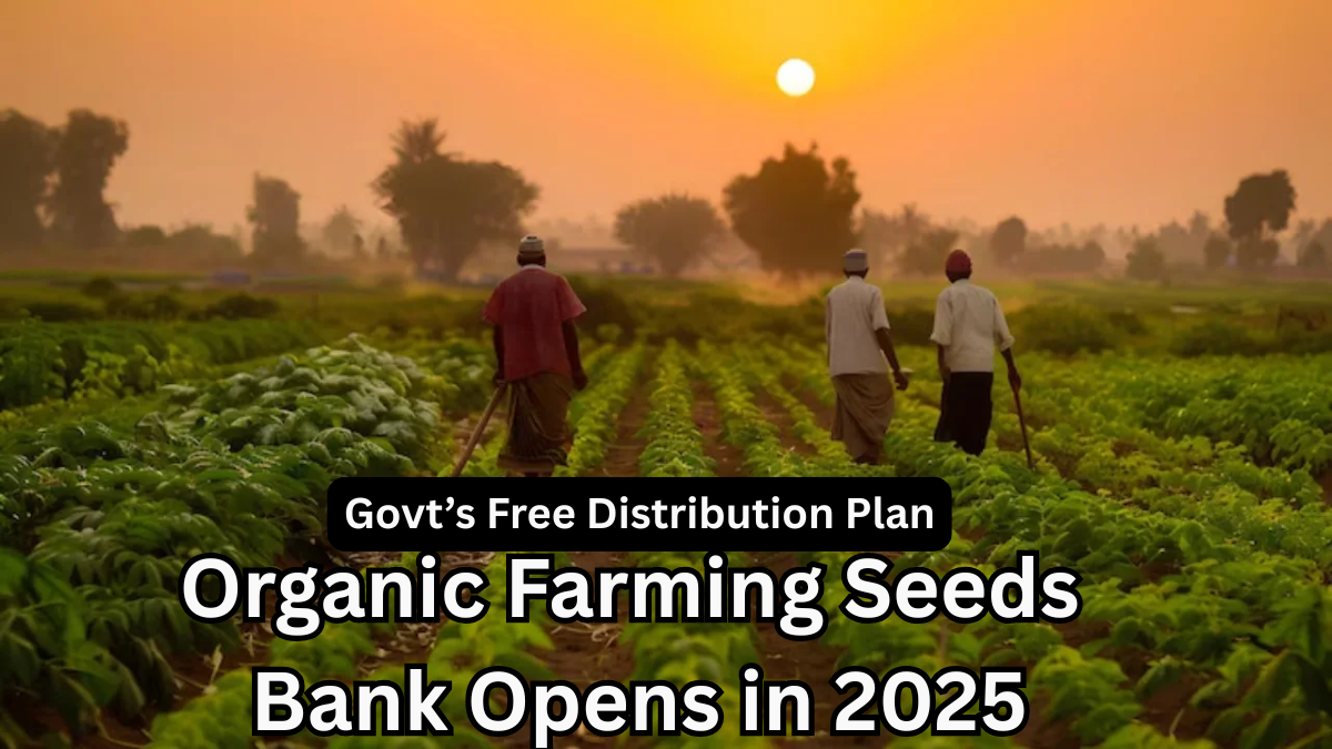 Organic Farming Seeds Bank Opens in 2025 – Govt’s Free Distribution Plan